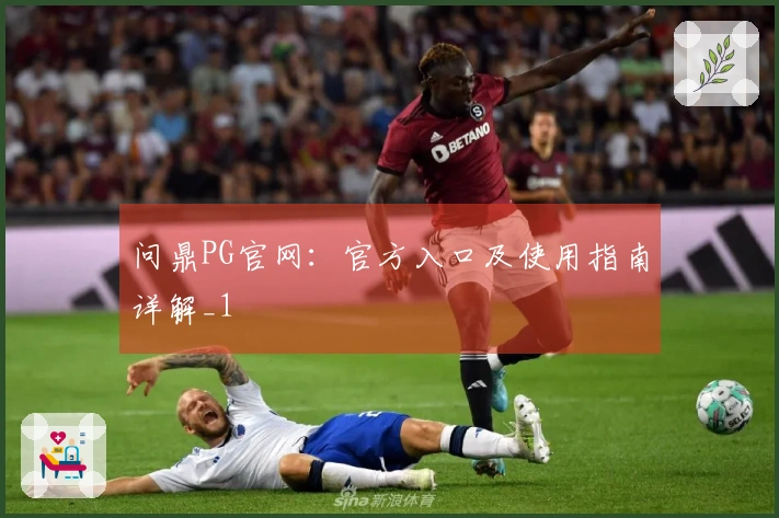 问鼎PG官网：官方入口及使用指南详解_1