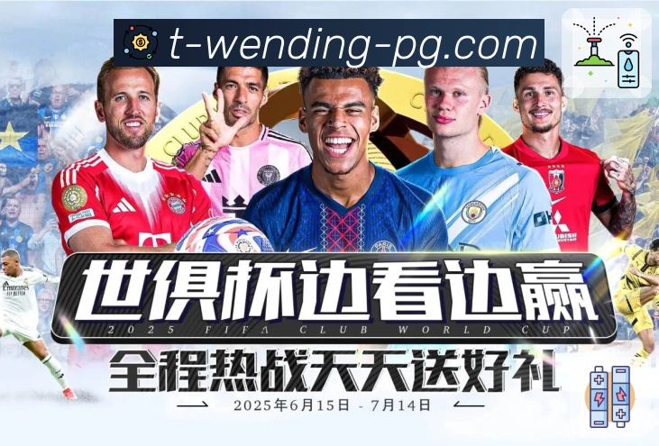 对比视图